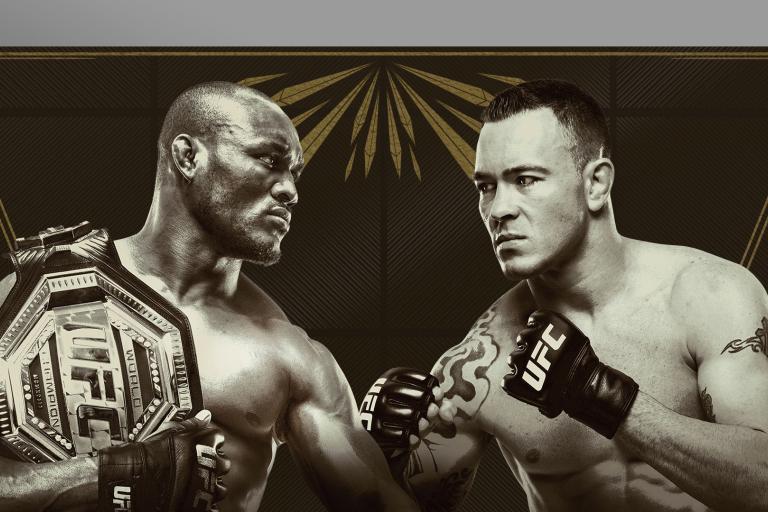 UFC 245