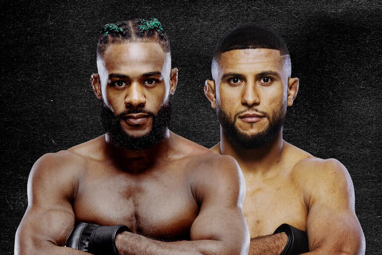 UFC Fight Night Sterling vs. Zalal