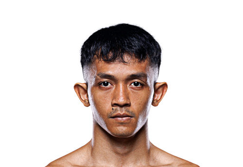 Delfan Dwi Satrio